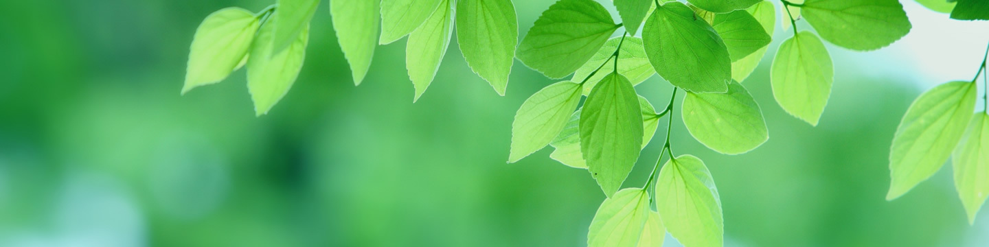 トップ 株式会社クロスウェル 株式会社クロスウェル